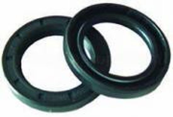 Масленый сальник вала ø30x55x7  Interpump/Generalpump серии 47-48