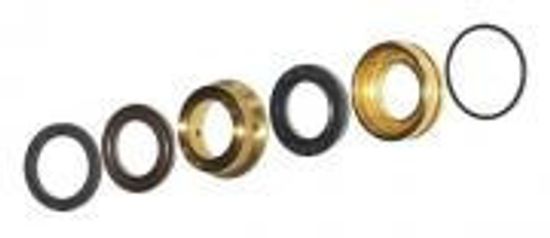 Комп. Dolly 27, переборка поршня ø20x30 Interpump/Generalpump серии 49-50