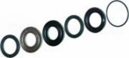 Комп.высоких температур, Уплотнительный манжет + кольца 20 мм. Тип Interpump/Generalpump серии 47-48 ø20
