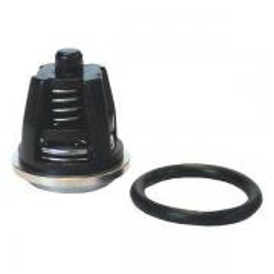 Комплект клапанов + Кольца уплотнительные Interpump/Generalpump серии 47-48 ø20