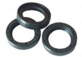 Комплект масленых сальников поршня ø20x30x5 Interpump/Generalpump серии 49-50