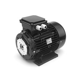 Электродвигатель NIKOLINI 230/400 В-50 Гц, 4,0 кВт