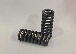 Пружина клапана APR/UNIFIT-30  050067492