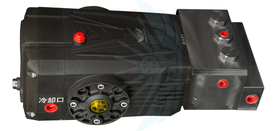 Rindevand (RV) GJG 30/500 Нержавеющая сталь 30 /500 bar