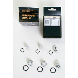 Set Dolly 269/309-30S Клапан +уплотнительное кольцо