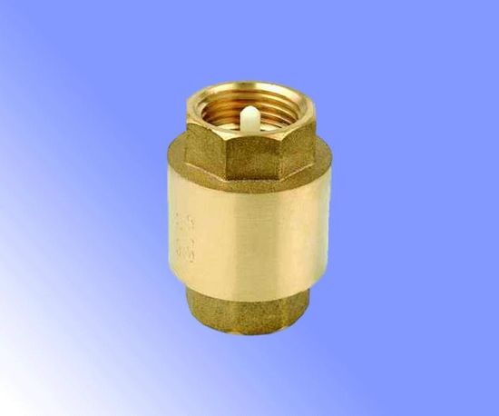 Клапан обратный APR-20/30 (бр) 050297532