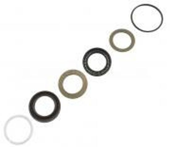 Комплект уплотнительных манжет ø20 Hawk Hawkсерия NMT Высокая температура