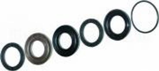 Комп.высоких температур, Уплотнительный манжет + кольца 20 мм. Тип Interpump/Generalpump серии 47-48 ø20