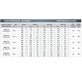 Трехплунжерный насос высокого давления Bertolini TAM 2015 PRO (сталь 316) (20 л/мин 150бар) 6 кВт
