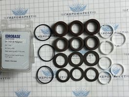 Комплект уплотнительных манжет ø20 Leuco/Hawk серий NMT1520