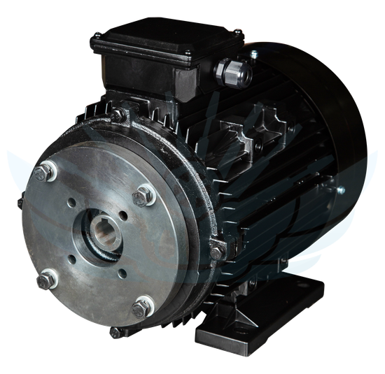 Электродвигатель для АВД 7,5 KwT GM Pump (Полый Вал 24 мм )
