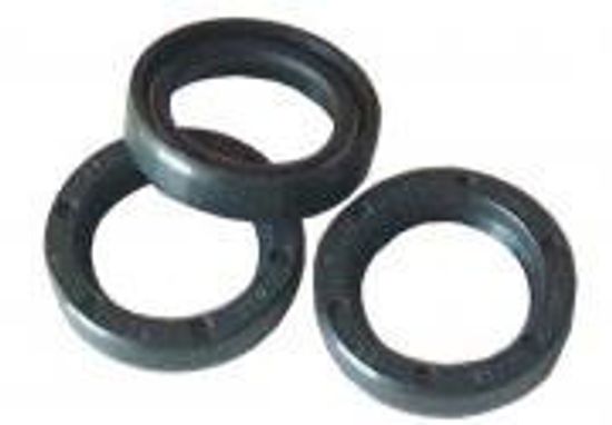 Комплект масленых сальников поршня ø20x30x5 Interpump/Generalpump серии 49-50