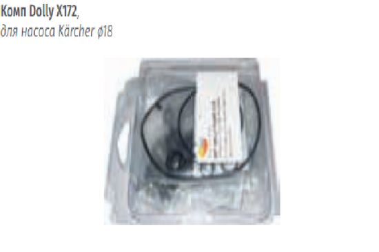 Полный Ремкомплект Комплект для насоса Karcher  18 мм.