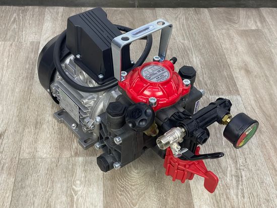 Мембранный насос Annovi Reverberi AR 252 VPI + GR 30 ET (25 Бар 24,6л/мин)