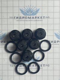 ZX.2029 Комп. Dolly Can Pump KIT 1, набор клапанов и колечек для поршня ø15 (2Х6)