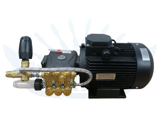 Моноблок 200 Бар Annovi Reverberi