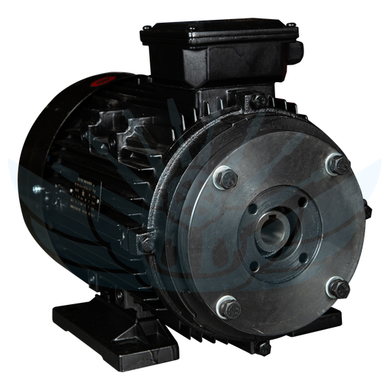 Электродвигатель для АВД 7,5 KwT GM Pump (Полый Вал 24 мм )