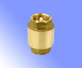 Клапан обратный APR-20/30 (бр) 050297532