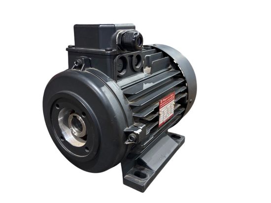 Двигатель 4 кВт 400/230В H100 полый вал Ф24мм фланец насоса 75 мм ИТАЛИЯ Melegari